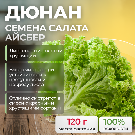 ДЮНАН семена салата (Rijk Zwaan | Alexagro) культура