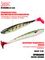 Виброхвосты LJ Pro Series 3D BASARA SOFT SWIM 06,35/PG10 8шт.