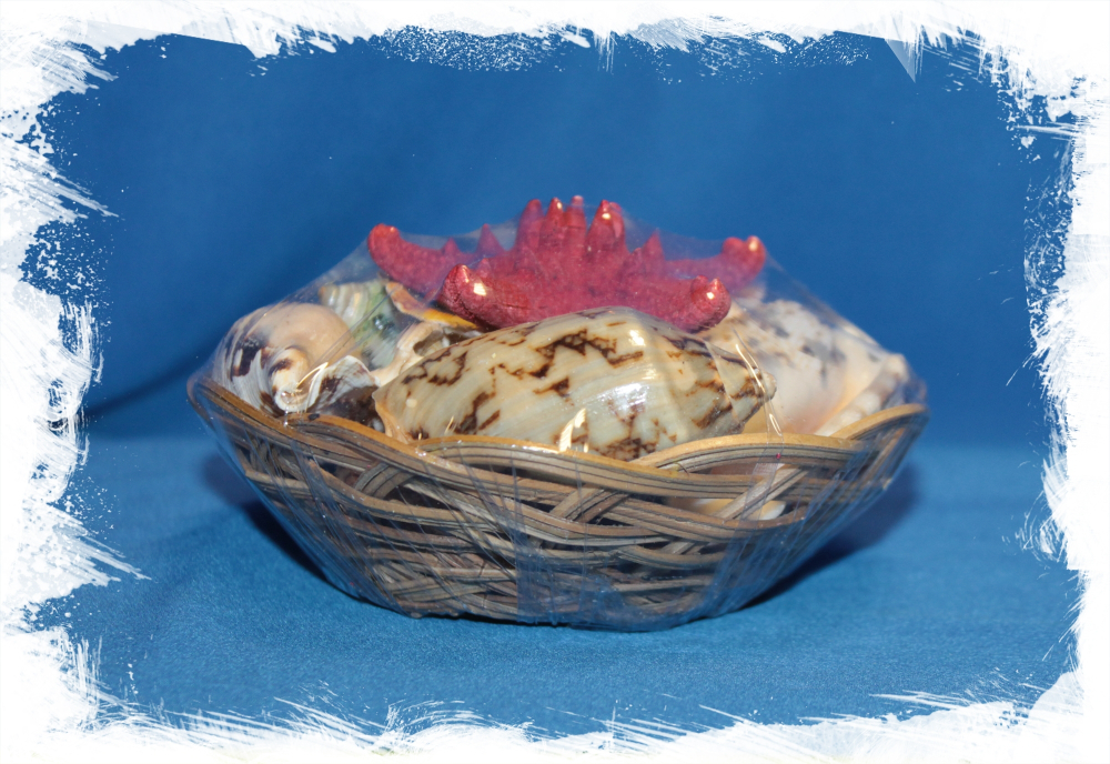 Набор ракушек с красной звездой 14 см