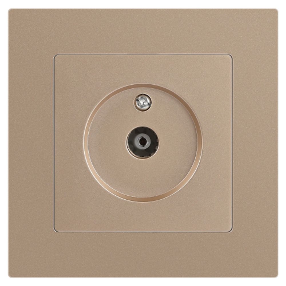 Розетка Intro Accent 6-301-04 TV одиночная, IP20, СУ, шампань | Intro