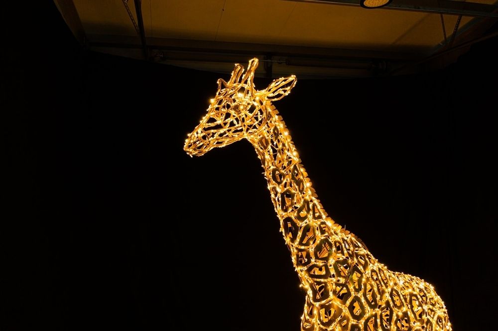 Светодиодная фигура "Жираф"