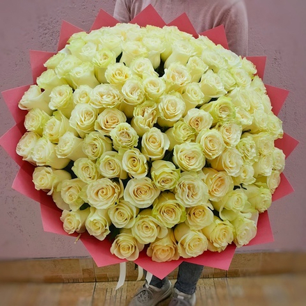 Букет из 101 белой розы сорта "Мондиаль" (Эквадор 60 см)
