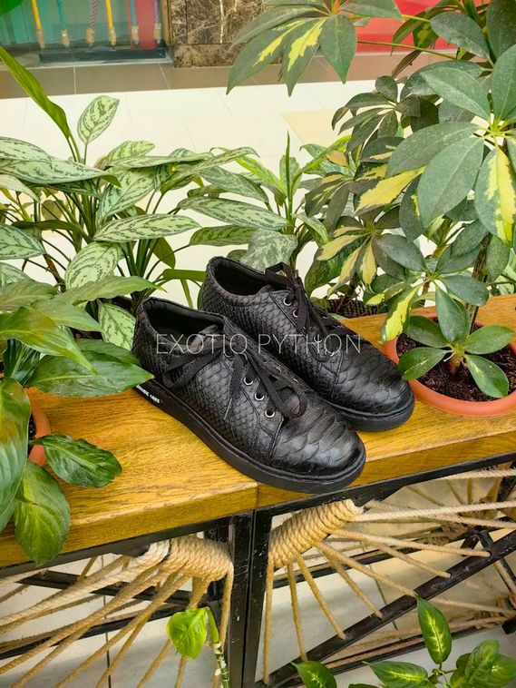 Женские кроссовки из кожи питона SH-190