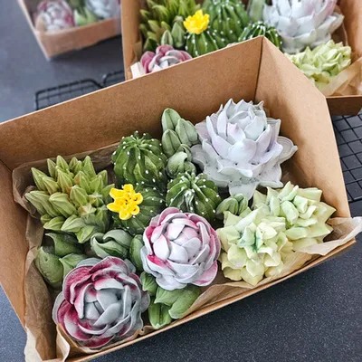 Фотография Зефир «Кактусы» / 25 см купить в магазине Афлора