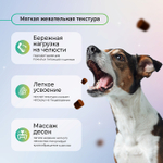 Функциональное лакомство Favet MultivitaminDog Soft Chews для кожи и шерсти для собак, 120г