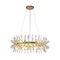 Подвесная люстра Favourite Rays 4058-14P