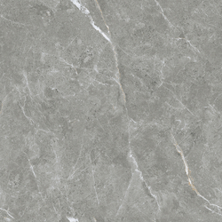Stone Cool Grey Керамогранит серый 60х60 Полированный