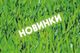 Новинки