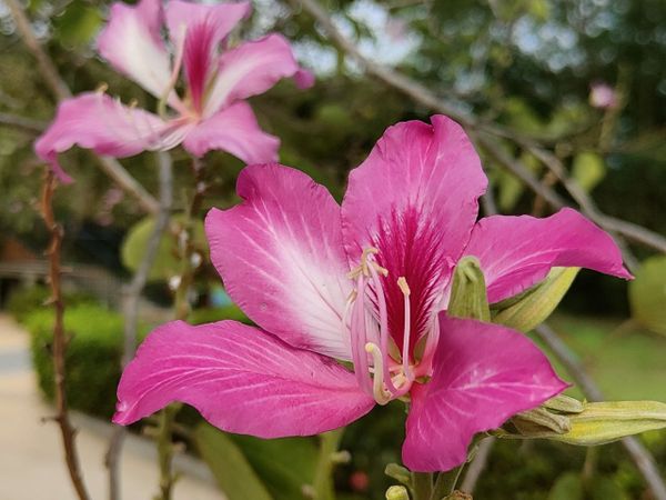 Зелёная прогулка по аквапарку в Паттайе