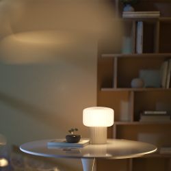 Настольная лампа Maytoni   MOD404TL-01BG