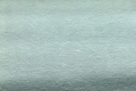 Коллекция Тэдди