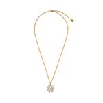 Колье Dyrberg Kern DELISE SG CRYSTAL 470151