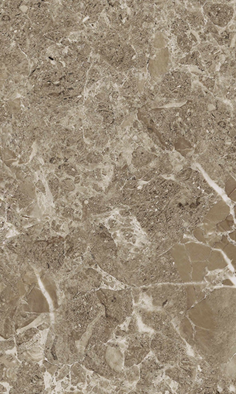 Saloni brown wall 02 v2 300х500 (1-й сорт)