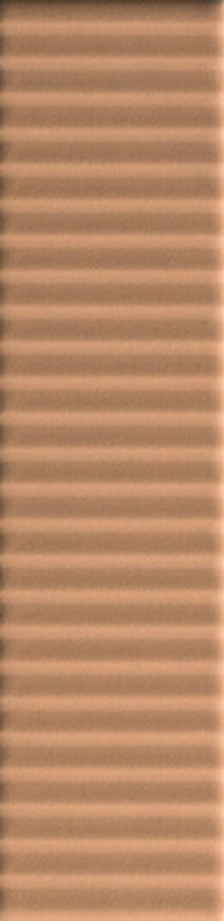 41zero42 Biscuit Strip Terra 5x20