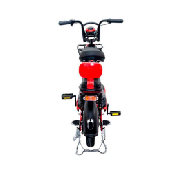 Электровелосипед Elbike Dacha mini А20 (600W 48V 20Ah)