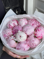 Букет 11шт розовых пионов