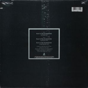 The Alarm / Rain In The Summertime (12" Vinyl Single)