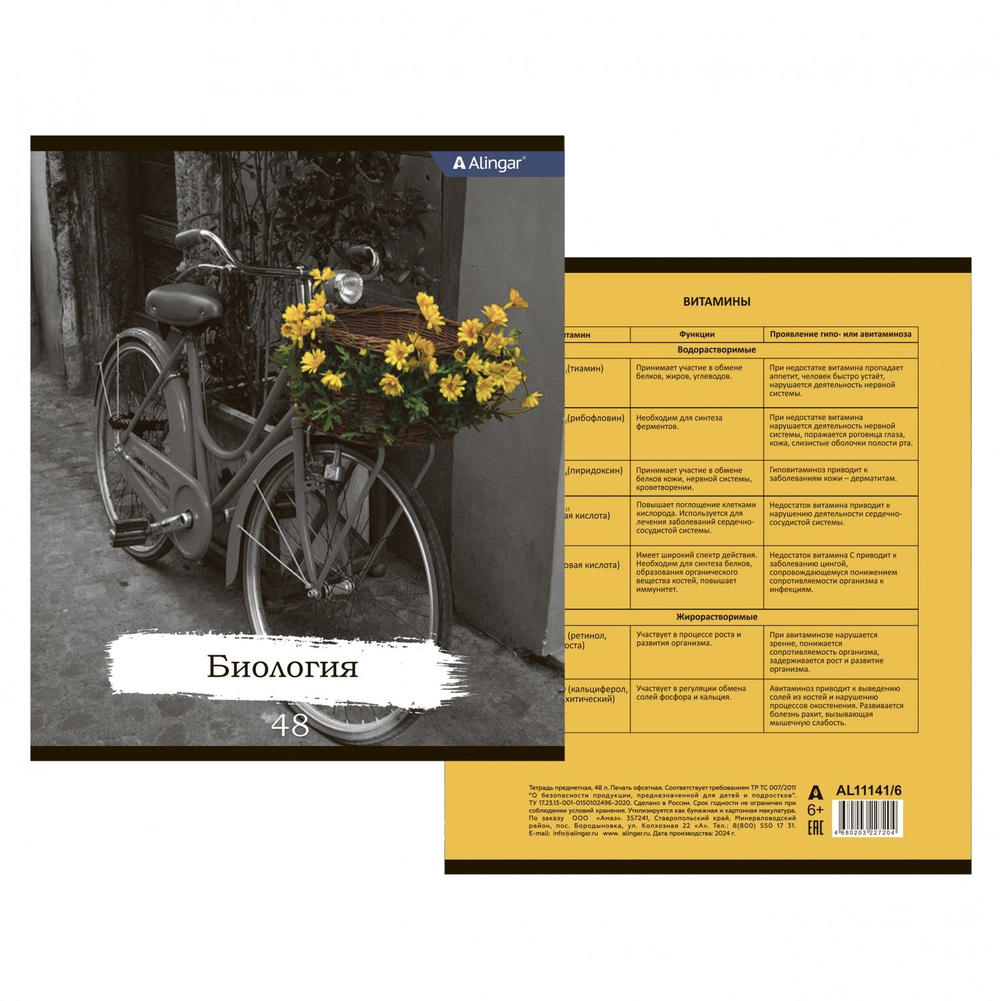 Комплект предметных тетрадей А5 48л.,10 предм., со справочным материалом, скрепка, мелованный картон(стандарт), блок офсет, Alingar "Город контрастов"