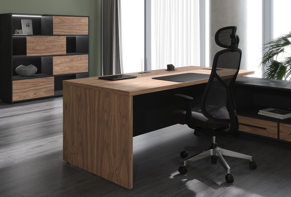 Шкаф с глухими средними и малыми дверьми VELION VENEER