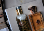 Amouage Dia men (Парфюм 100 мл + Гель для душа 300 мл)