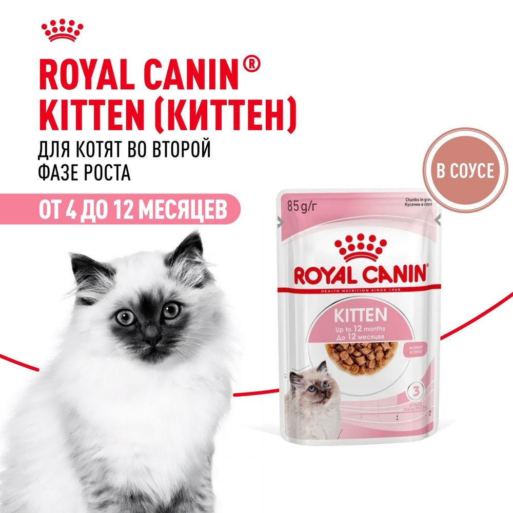 Пауч Royal Canin Kitten Gravy для котят в период второй фазы роста в возрасте до 12 месяцев, кусочки в соусе Пауч Royal Canin Kitten Gravy для котят в период второй фазы роста в возрасте до 12 месяцев, кусочки в соусе
