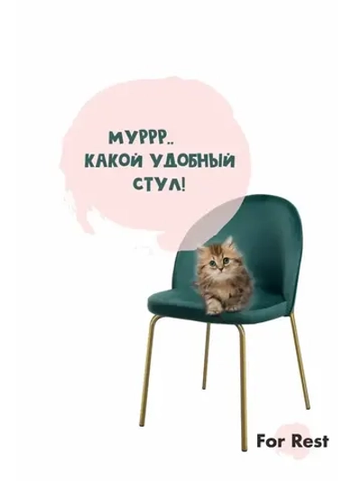 Стул "Мале" 1 шт. Антивандальная ткань, Золотые ножки