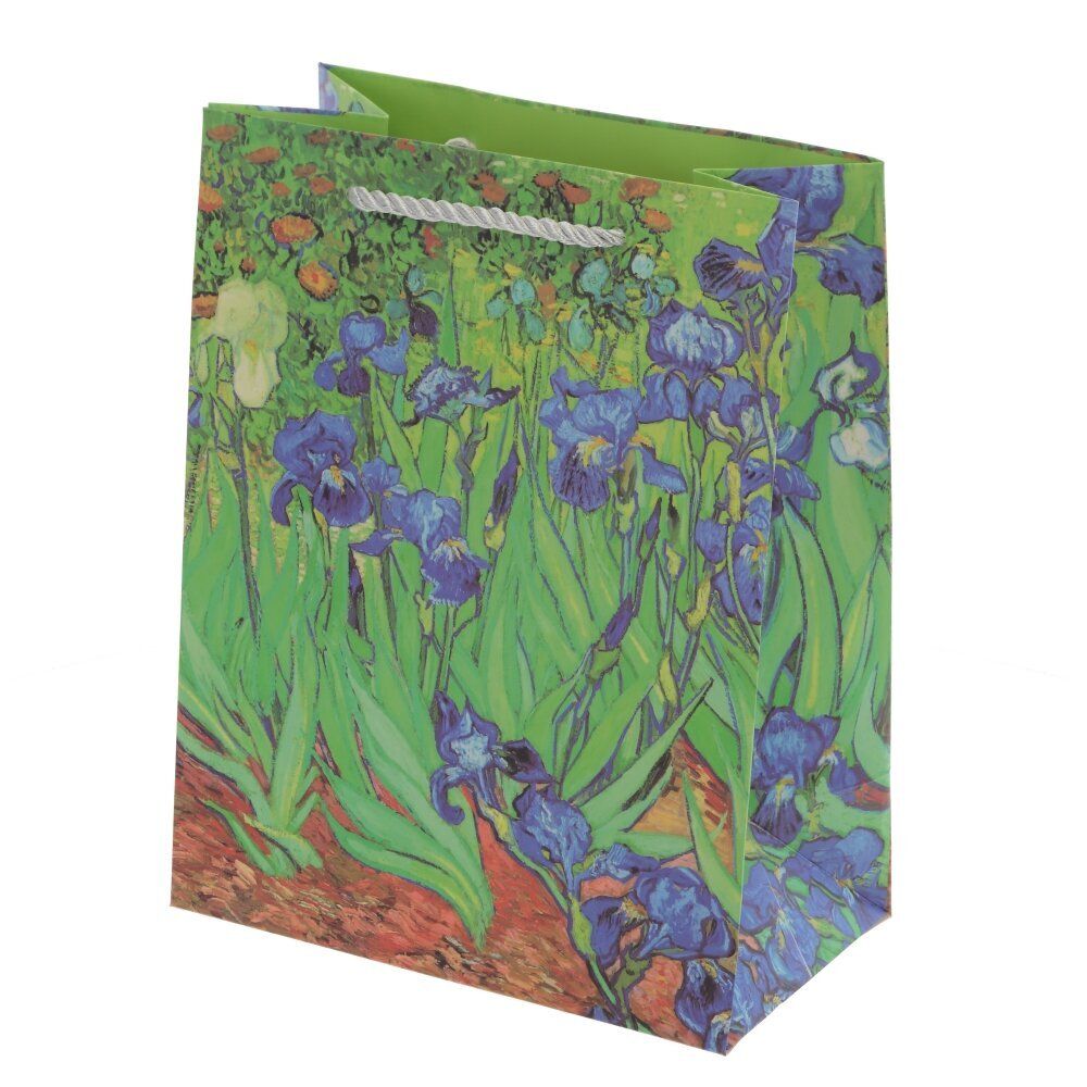 GAEM Пакет подарочный S (бумага 210г/м2, блок 12шт), L18 W10 H23 см, 4в.