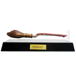 Suvenir \ Сувенир ( Hp supurge )