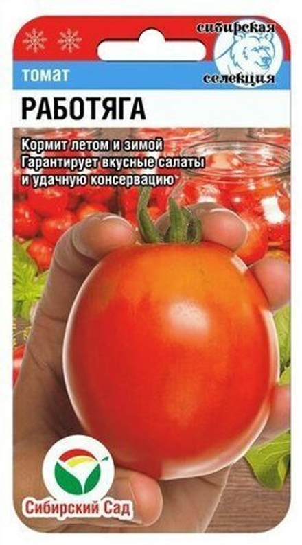 Томат Работяга Сибсад