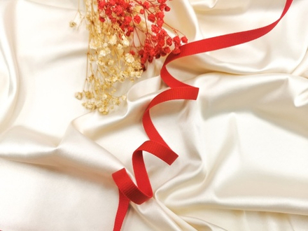 Бретелечная резинка без фестонов, 10 мм, красная (алая), (Арт: BR640/10-100), м