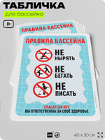 Табличка для бассейна "Правила бассейна", на пляж, для общественной и частной зоны отдыха, информационная, 40х30 см, Silver Plane x Айдентика Технолоджи
