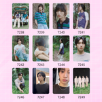 Карты / Dragon Pony