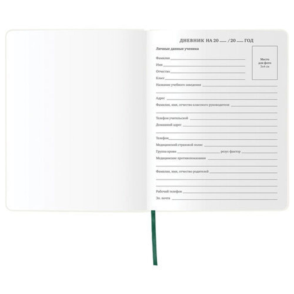 Дневник 1-11 класс 48 л., кожзам (гибкая), печать, фольга, BRAUBERG, "Avocado", 105974