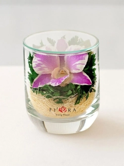 натуральные цветы в стекле, вакуум