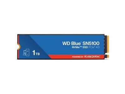SSD накопитель Western Digital WD Blue SN510 1ТБ, M.2 2280, PCIe 4.0 x4, NVMe [WDS100T5B0E]