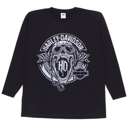 Свитшот Harley Davidson (череп)