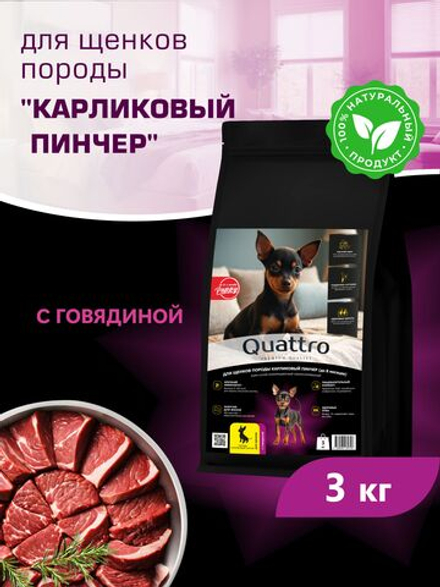 Корм сухой для щенков породы Карликовый пинчер, с говядиной, 3 кг, QUATTRO