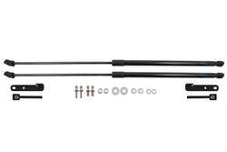 Упоры капота для FAW Bestune T55, 2021- ARBORI.HD.058103