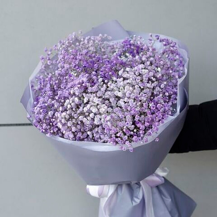 Букет бело-сиреневой гипсофилы 15 веток