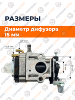 BES-016 (3)