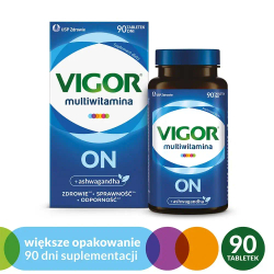Vigor Multivitamin ON - 90 таблеток
