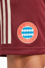 Шорты adidas FC Bayern 24/25 Training - бордовый