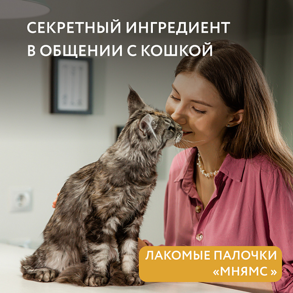 Лакомство для котят лакомые палочки из индейки Мнямс 3х5 г, 35 шт в упаковке