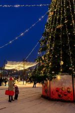 Светодинамическая елка ствольная - встроенная гирлянда: Теплый свет - "Таежная" от 11 до 21 м