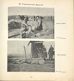 [Полный комплект] Великая война в образах и картинах. Под редакцией Ив. Лазаревского: в 14 вып.