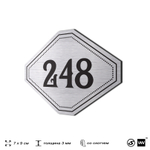 Номерок на дверь квартиры 248, для кабинета, офиса, шильдик 9 х 7 см, серебристый, Айдентика Технолоджи
