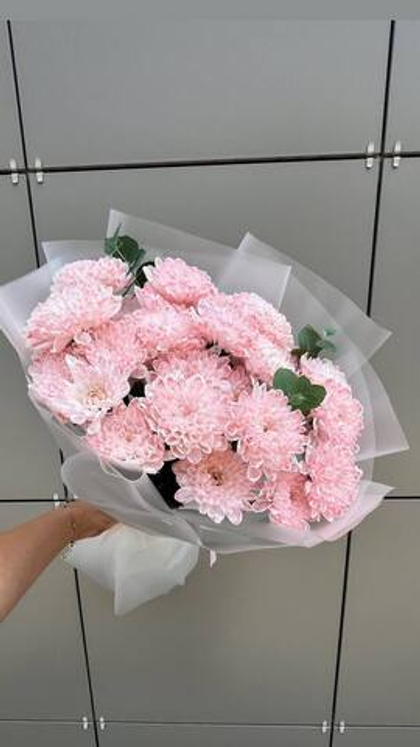 Хризантемы розовое облачко