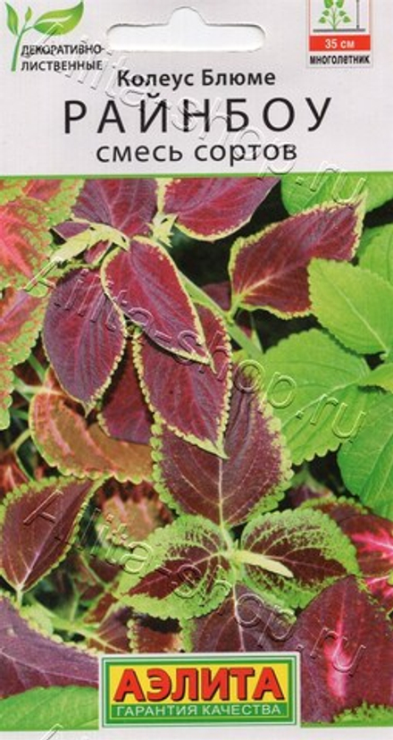 Колеус Райнбоу смесь блюме 0,05г Ц Аэлита