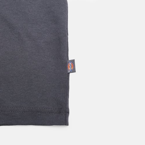 Лонгслив Dickies Payson 2-in-1 Let T-shirt артикул:DK0A88JFBLK1 - купить в магазине Дайс
