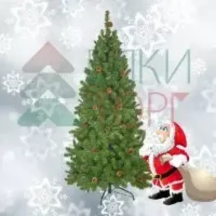 Елка Норвежская зеленая 270 см., мягкая хвоя, ЕлкиТорг (90270)